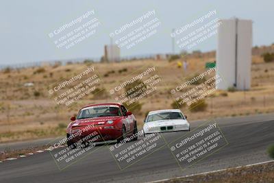 media/May-03-2025-Lucky Dog Racing (Sat) [[206de64b9d]]/Turn 6 (150pm-230pm)/